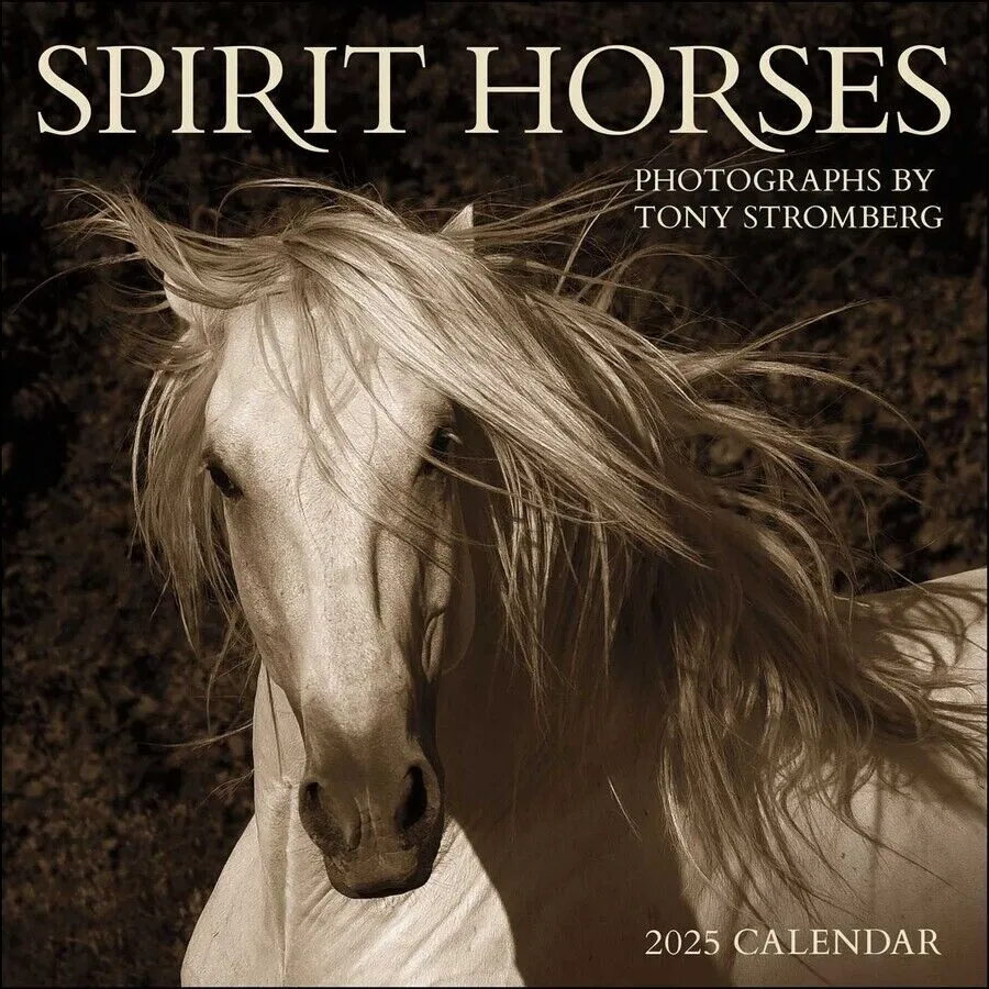 Amber Lotus Spirit Horses by Tony Stromberg 12x12 2025 Wall Calendar
