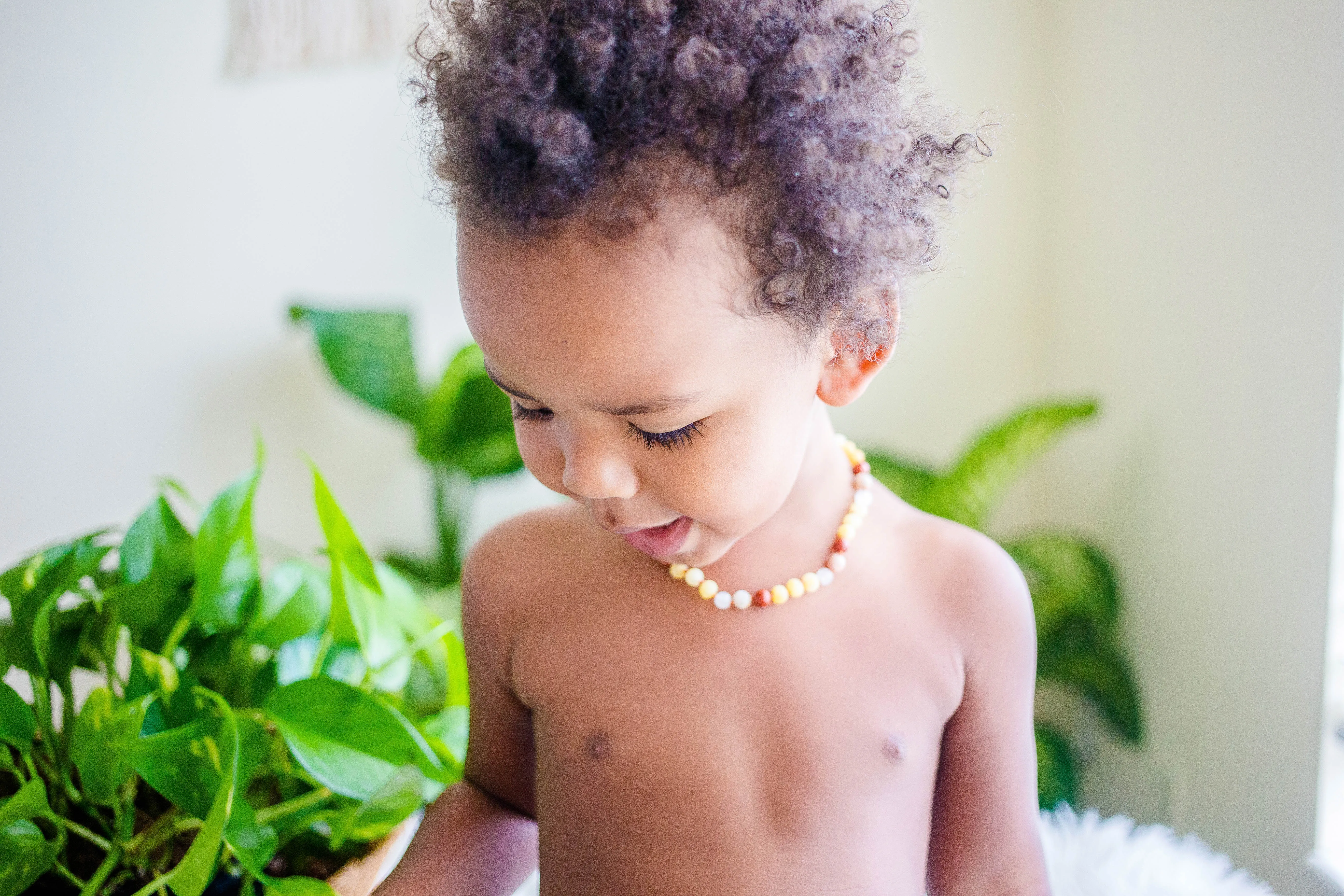 Red Jasper, Moonstone, Sunstone   Raw Lemon Baltic Amber Necklace ll Teething ll Calming ll Pain