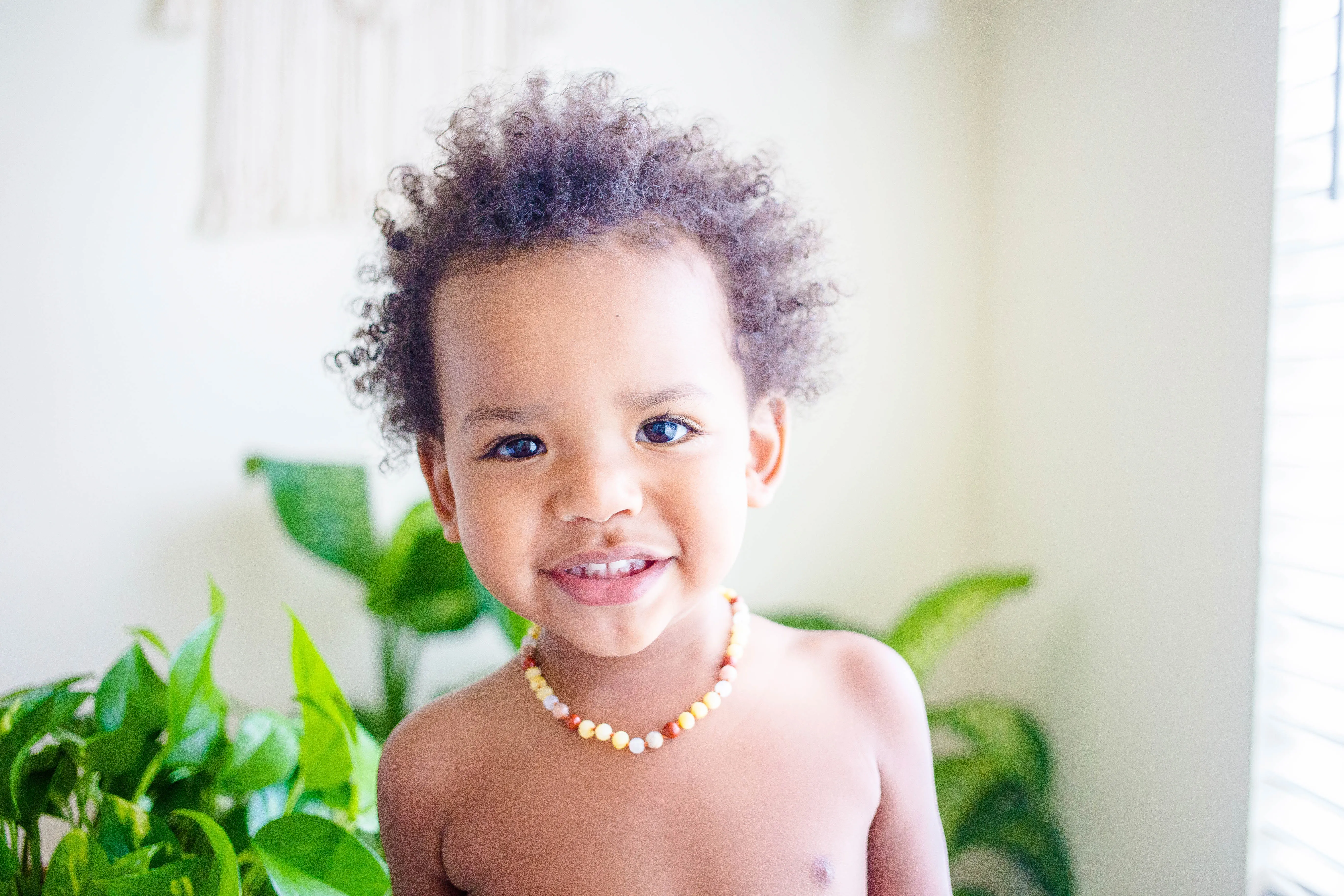 Red Jasper, Moonstone, Sunstone   Raw Lemon Baltic Amber Necklace ll Teething ll Calming ll Pain